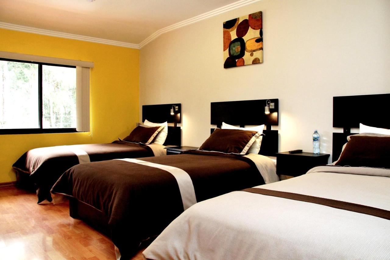 Hostal Kolibri B&B 쿠엔카 외부 사진